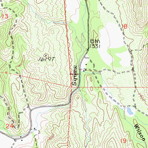 Topographic Map of Wilson Creek, CA