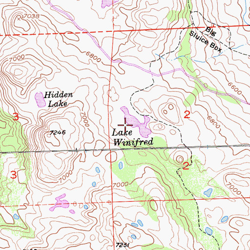 Topographic Map of Lake Winifred, CA
