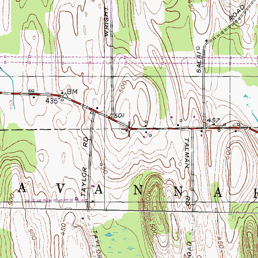 Topographic Map of School Number 8 (historical), NY