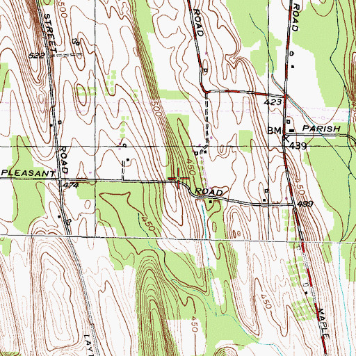 Topographic Map of School Number 4 (historical), NY