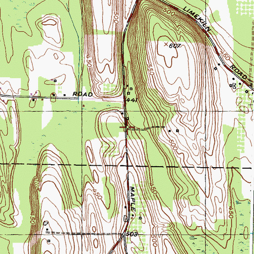Topographic Map of School Number 17 (historical), NY