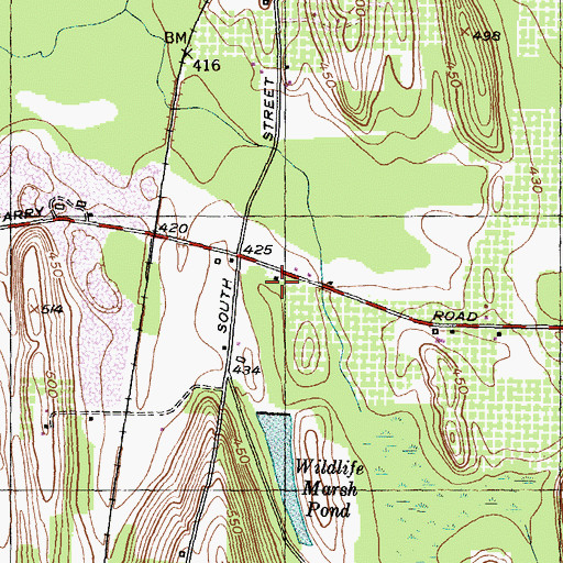Topographic Map of School Number 21 (historical), NY