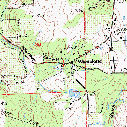 Topographic Map of Wyandotte, CA
