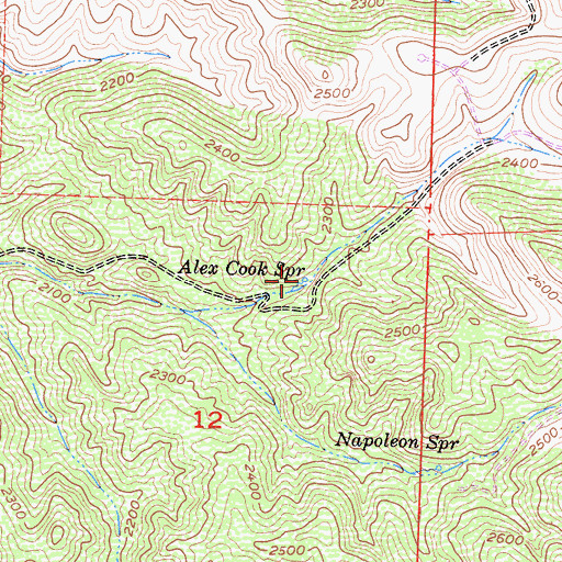 Topographic Map of Alex Cook Spring, CA
