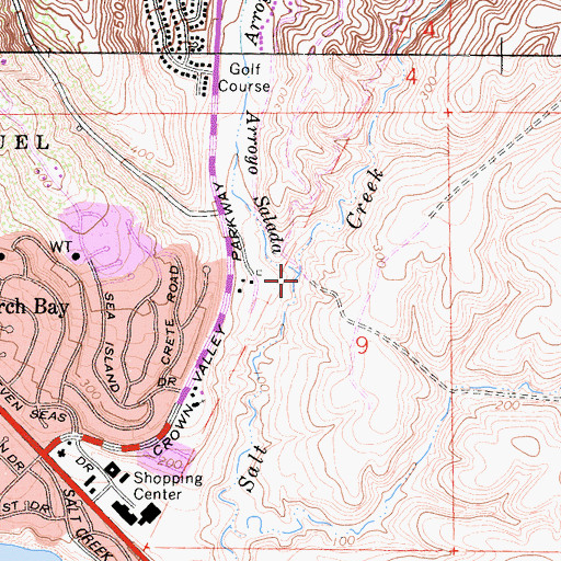 Topographic Map of Arroyo Salado, CA