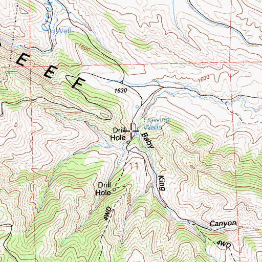 Topographic Map of Baby King Canyon, CA