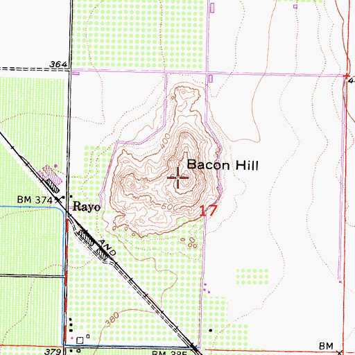 Topographic Map of Bacon Hill, CA