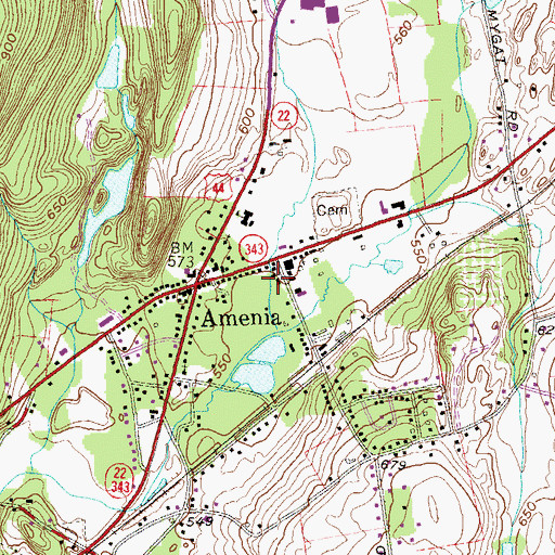 Topographic Map of Amenia Census Designated Place, NY