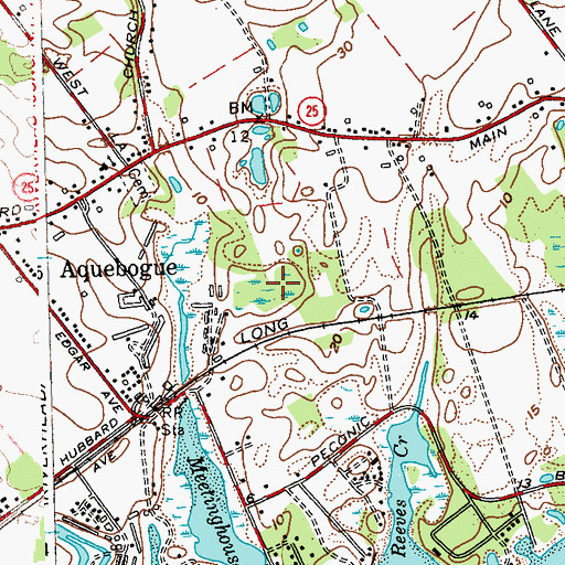 Topographic Map of Aquebogue Census Designated Place, NY