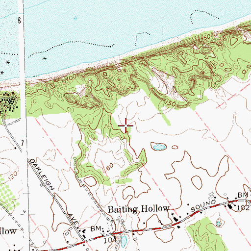 Topographic Map of Baiting Hollow Census Designated Place, NY