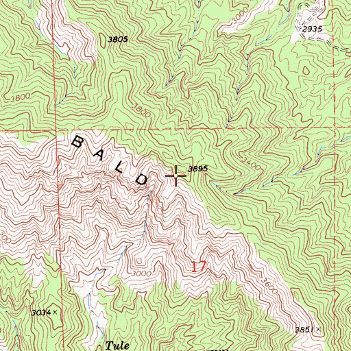 Topographic Map of Bald Mountain, CA