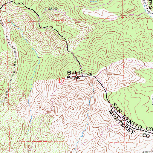 Topographic Map of Bald Peak, CA