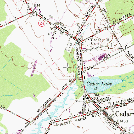 Topographic Map of Cedarville Census Designated Place, NJ