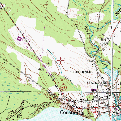 Topographic Map of Constantia Census Designated Place, NY