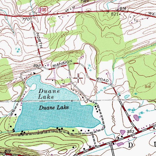 Topographic Map of Duane Lake Census Designated Place, NY
