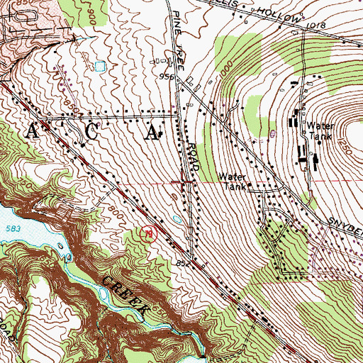 Topographic Map of East Ithaca Census Designated Place, NY