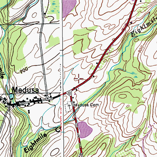 Topographic Map of Medusa Census Designated Place, NY