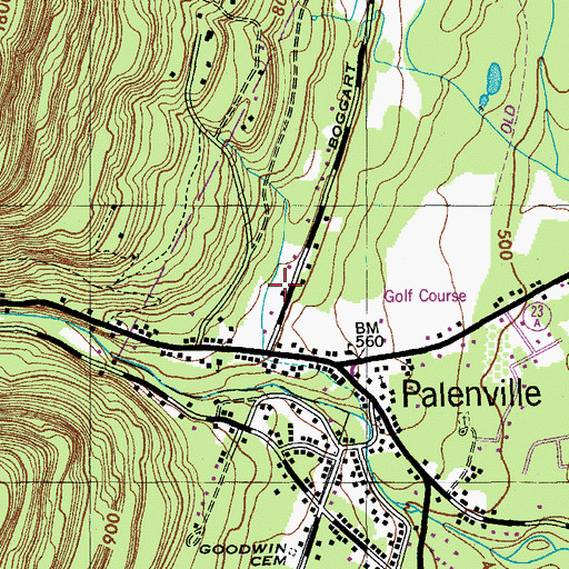 Topographic Map of Palenville Census Designated Place, NY