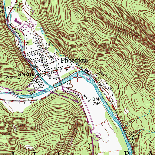 Topographic Map of Phoenicia Census Designated Place, NY