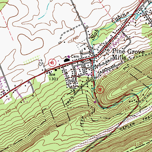 Topographic Map of Pine Grove Mills Census Designated Place, PA