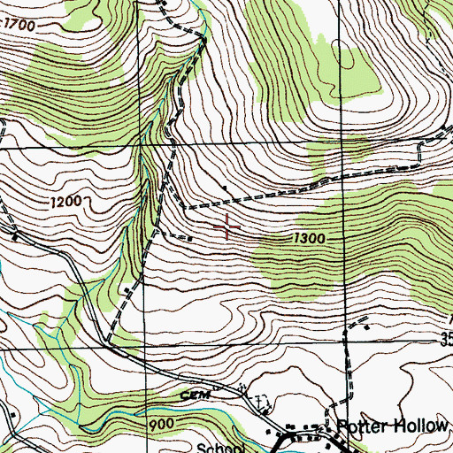 Topographic Map of Preston-Potter Hollow Census Designated Place, NY