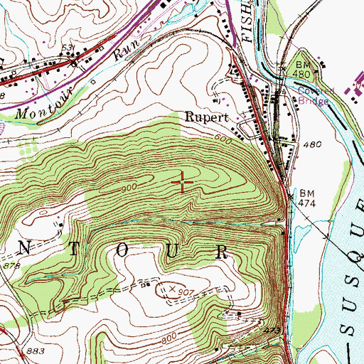 Topographic Map of Rupert Census Designated Place, PA