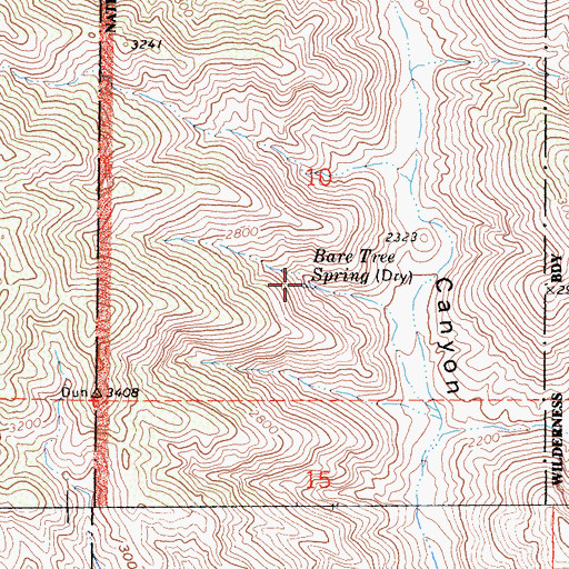 Topographic Map of Bare Tree Spring, CA