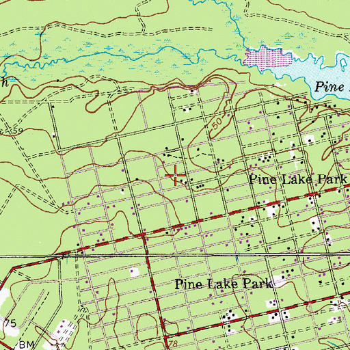 Topographic Map of Leisure Village West-Pine Lake Park Census Designated Place (historical), NJ