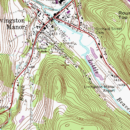 Topographic Map of Livingston Manor Census Designated Place, NY