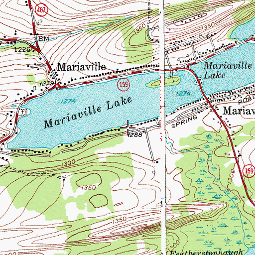Topographic Map of Mariaville Lake Census Designated Place, NY