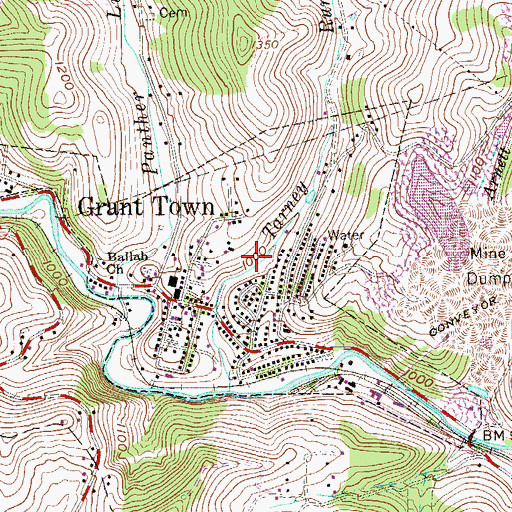 Topographic Map of Town of Grant Town, WV