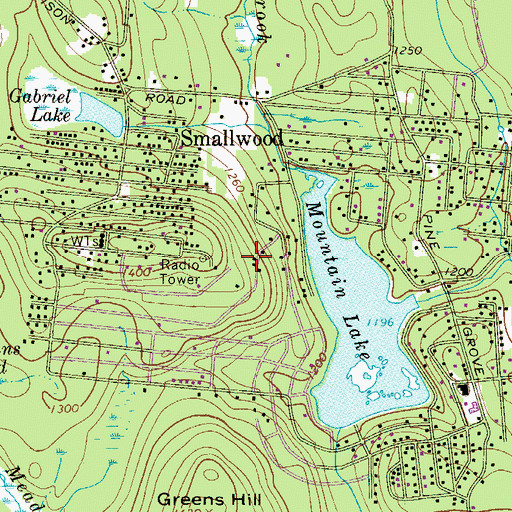 Topographic Map of Smallwood Census Designated Place, NY