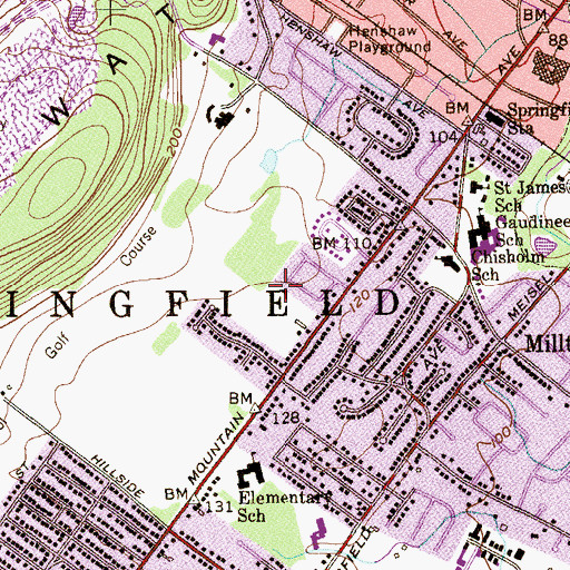 Topographic Map of Springfield Census Designated Place, NJ