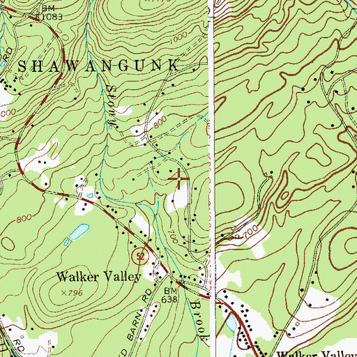 Topographic Map of Walker Valley Census Designated Place, NY