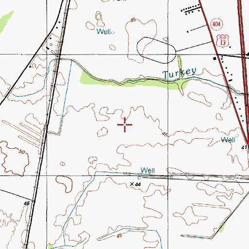 Topographic Map of Town of Bridgeville, DE