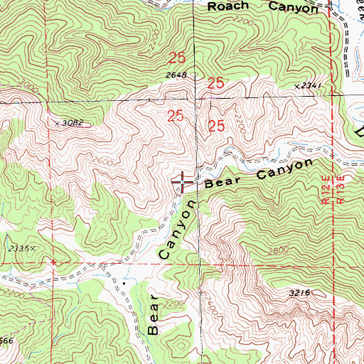 Topographic Map of Bear Canyon, CA