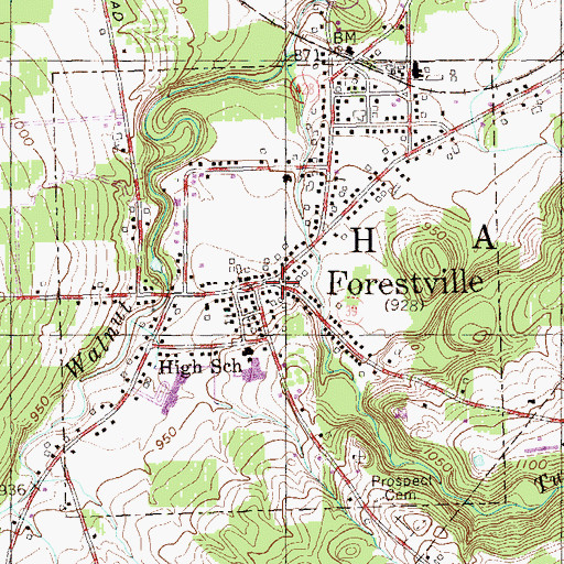 Topographic Map of Village of Forestville (historical), NY
