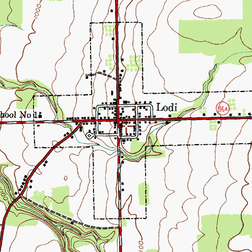 Topographic Map of Village of Lodi, NY