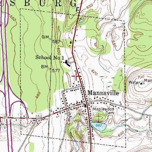 Topographic Map of Village of Mannsville, NY