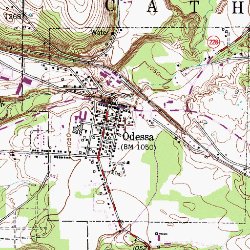 Topographic Map of Village of Odessa, NY