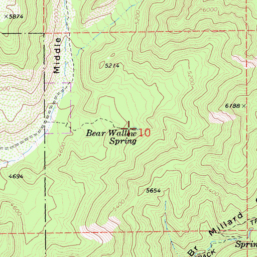 Topographic Map of Bear Wallow Spring, CA