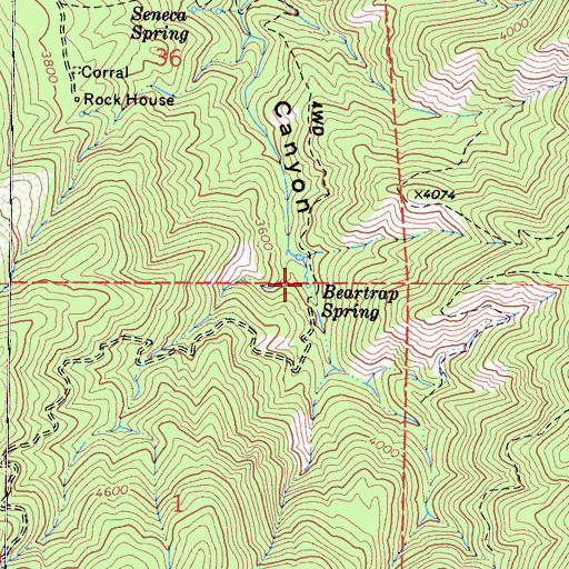 Topographic Map of Beartrap Spring, CA