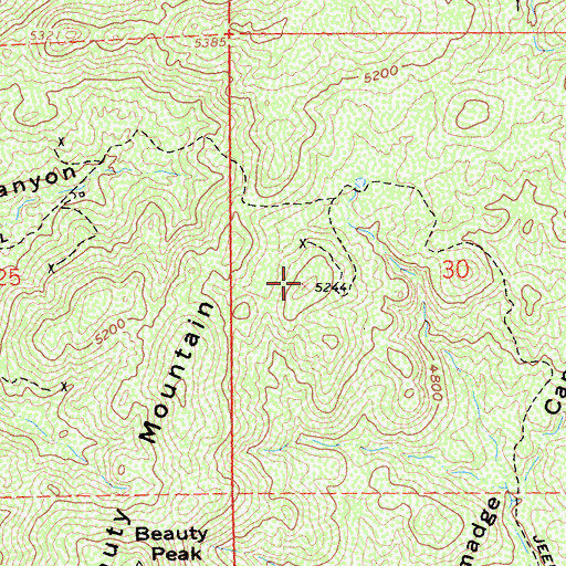 Topographic Map of Beauty Mountain, CA