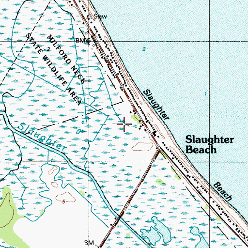 Topographic Map of Town of Slaughter Beach, DE