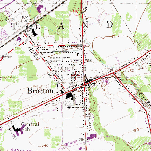 Topographic Map of Village of Brocton, NY