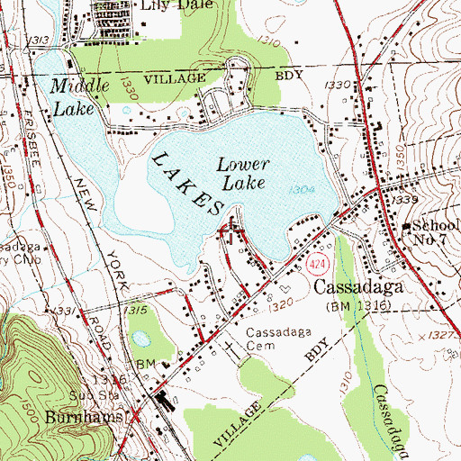 Topographic Map of Village of Cassadaga, NY