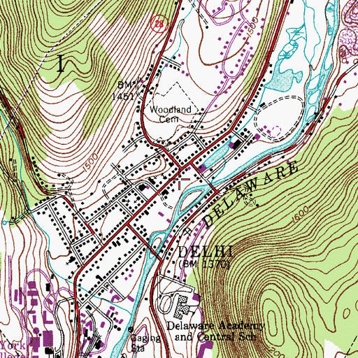 Topographic Map of Village of Delhi, NY