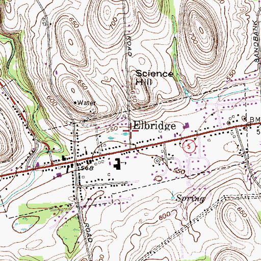 Topographic Map of Village of Elbridge, NY