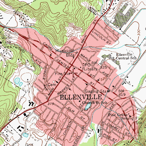 Topographic Map of Pioneer Engine Company, NY