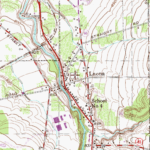 Topographic Map of Laona Cemetery, NY